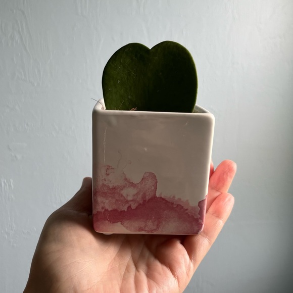 PLEASE LIKE NEW GAME! - Picture 11 of 12